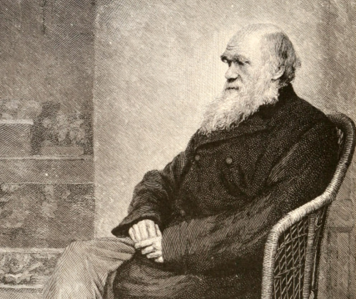 다윈은 하루 90분씩 세 차례 연구를 하고 나머지는 쉬었다