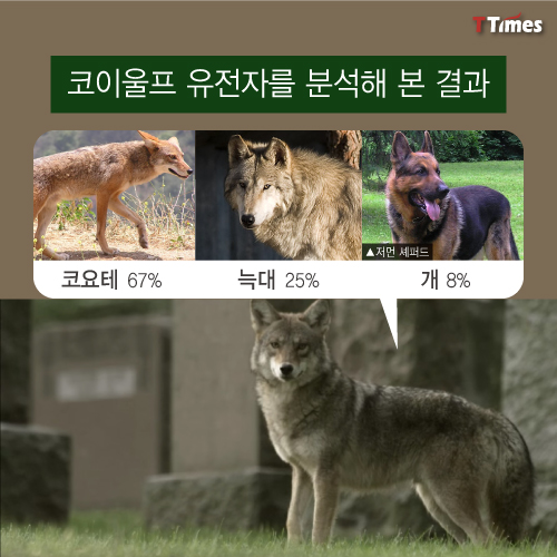 Wikimedia Commons, Nature on PBS 영상 캡처