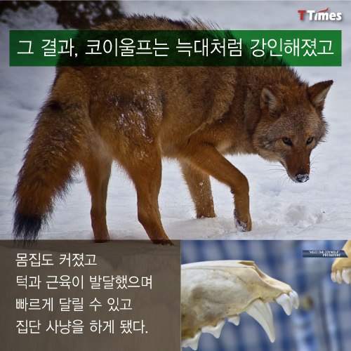 Nature on PBS 영상 캡처