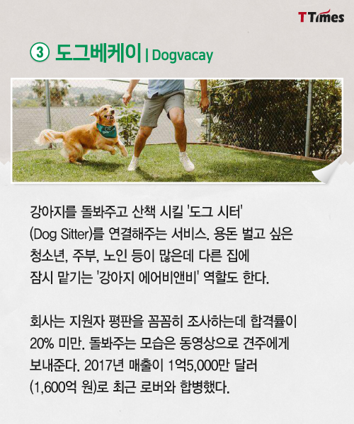 DogVacay homepage