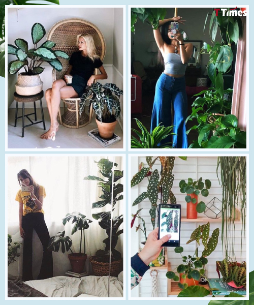 urbanjungleblog, plantmama instagram
